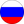 Reprezentacja Rosji