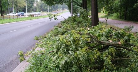 Znowu ostrzeżenia IMGW dla naszego regionu. Opady deszczu do 55 litrów na metr kwadratowy i porywy wiatru do 90 km/h