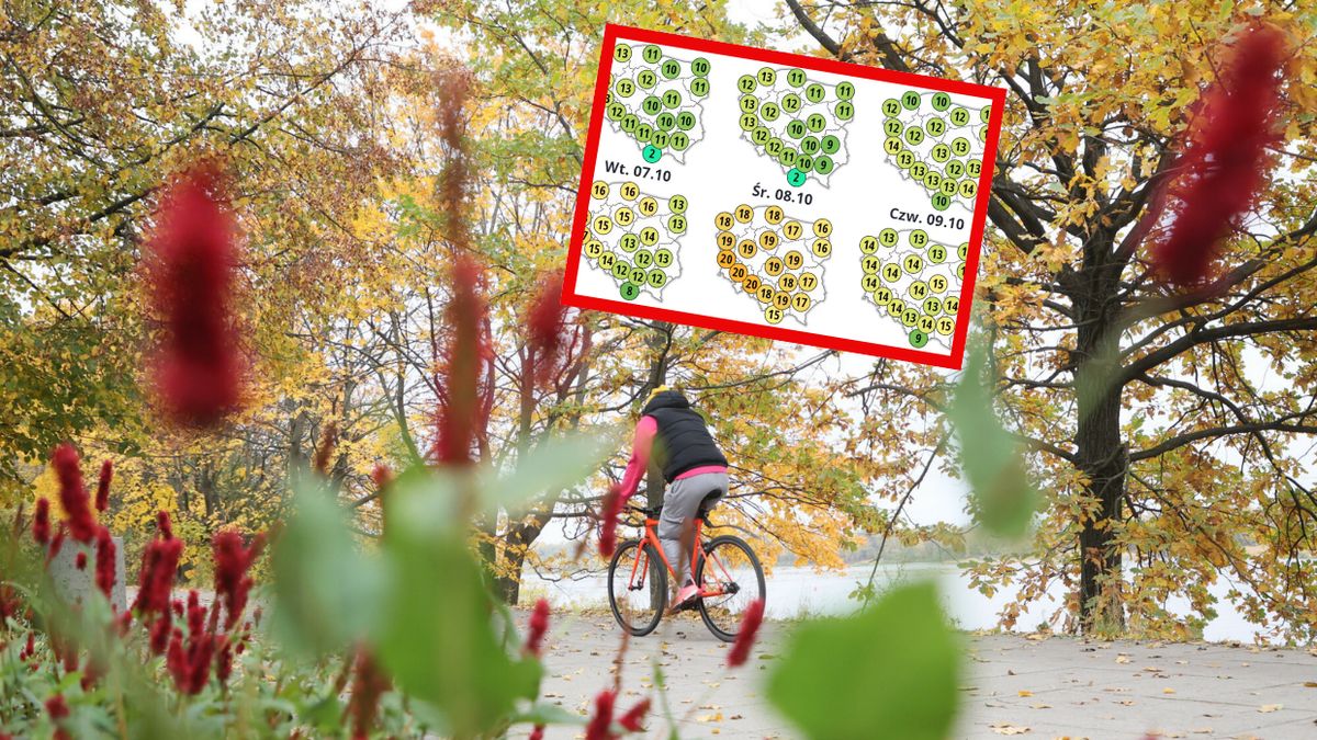 Pogoda w najbliższych dniach. Temperatura rośnie