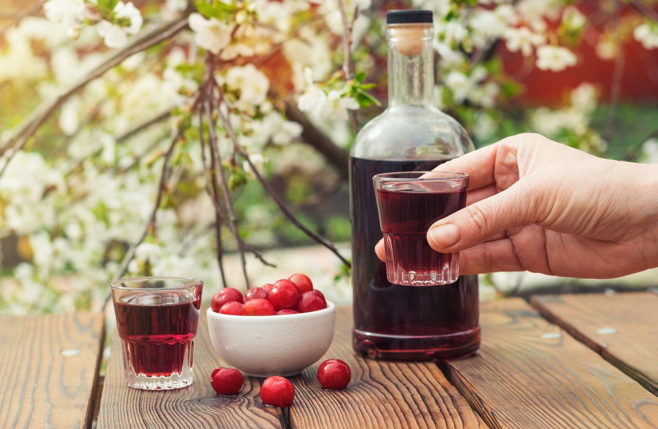 Jak zrobić nalewkę z czereśni? Bardzo prosty przepis