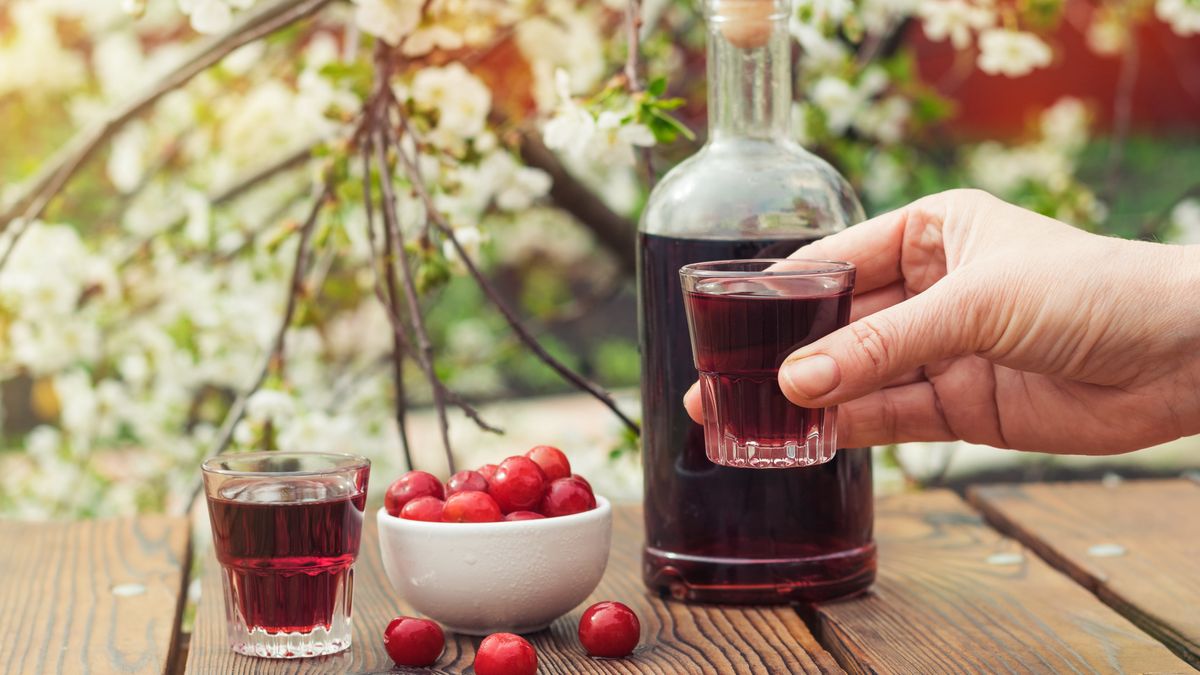A woman holds a glass of cherry alcohol against the background of a blooming garden.A woman holds a glass of cherry alcohol against the background of a blooming garden. Homemade alcohol made from cherry berries.KVLADIMIRVschnapps, plumliqueur