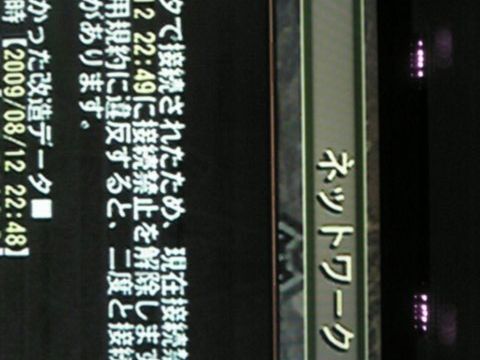 Nie opłaca się oszukiwać w Monster Hunter 3