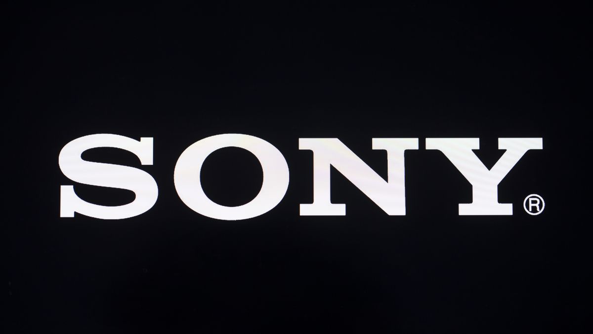 Sony (Photo by Aytac Unal/Anadolu Agency via Getty Images)