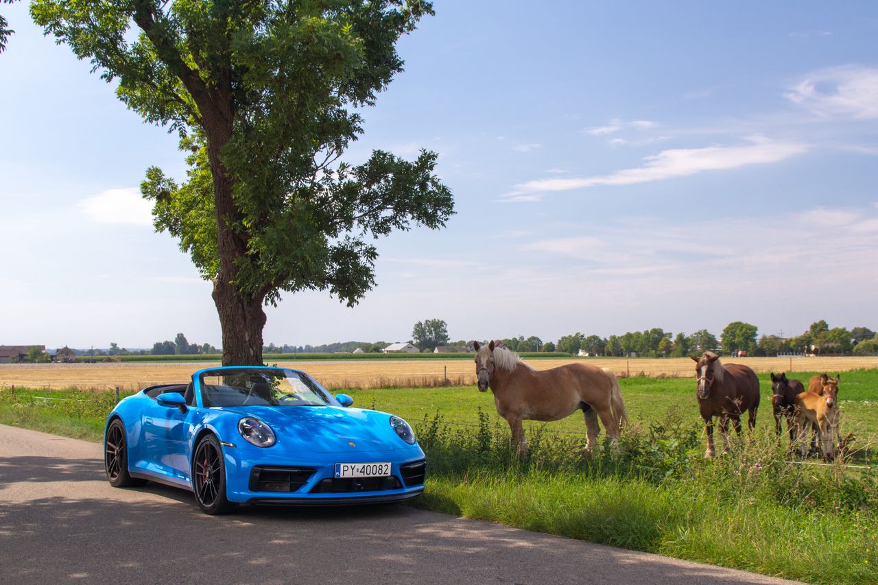 Porsche 911 Carrera 4 GTS Cabriolet