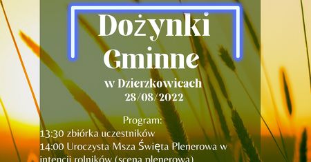 Dożynki Gminy Dzierzkowice 2022. Gwiazda wieczoru zespół Nokaut