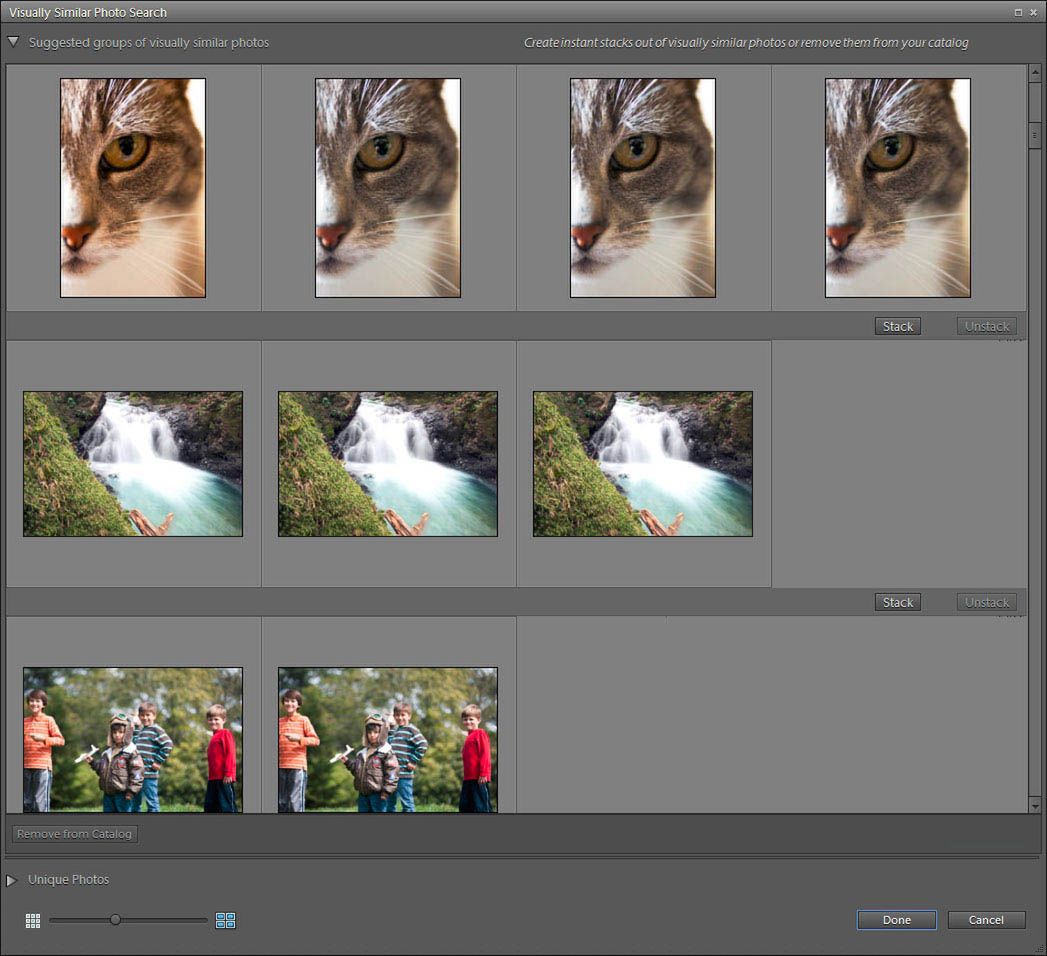 Jubileuszowe Adobe Photoshop i Premiere Elements 10 8