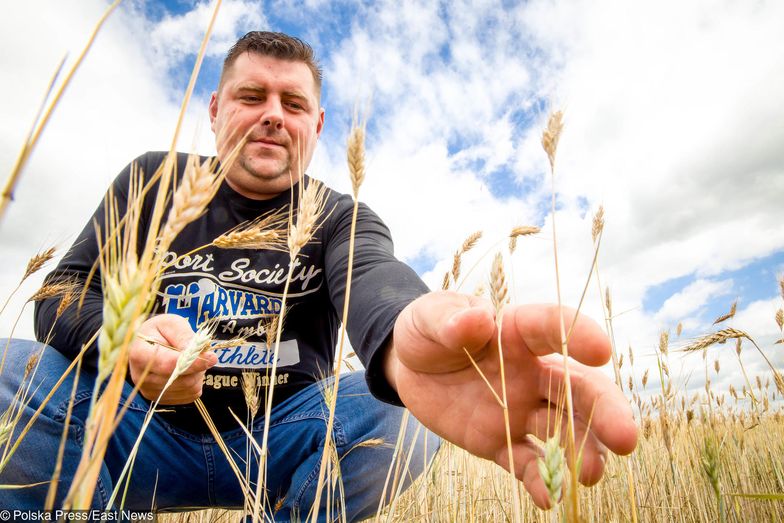 Rząd wypłacił pierwsze pieniądze dla poszkodowanych przez suszę.