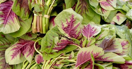 Z powodzeniem zastąpi szpinak. Zawiera znacznie więcej żelaza