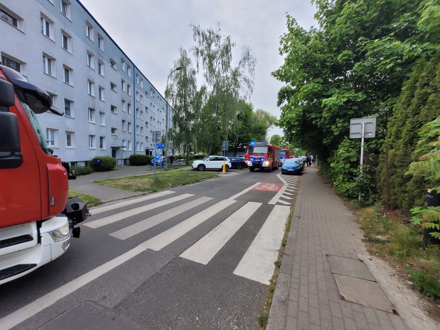 Fot. Codzienny Poznań/zdjęcie czytelnika