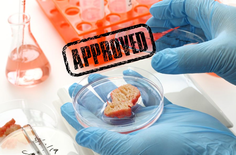 Lab-grown meat approved for sale in the USA. What about Poland?