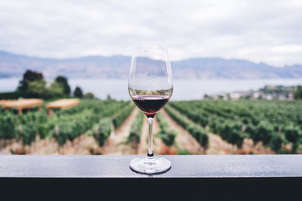 Вино відкриває особистість людини