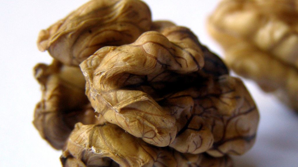 Suszone orzechy włoskie