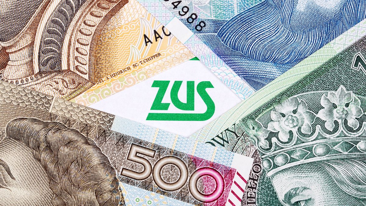 polish, insurance, documents, money, poland, zloty, zus, background, currency, cash, finance, business, bill, wealth, paper, bills, banknote, savings, financial, green, banknotes, economy