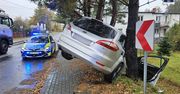 Żory: Pijany kierowca uderzył w drzewo. Twierdził, że "rano wypił jedno piwo"