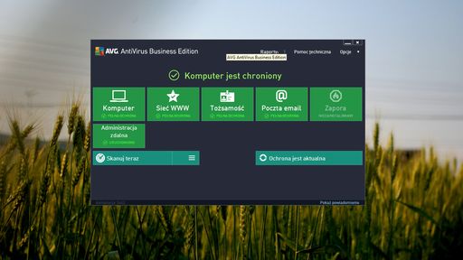 AVG AntiVirus Business Edition
