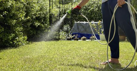 500 zł kary za podlewanie ogrodu? Eksperci wyjaśniają