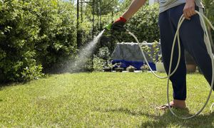 500 zł kary za podlewanie ogrodu? Eksperci wyjaśniają