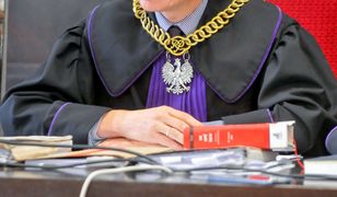 Noworodek w zamrażarce. Jest decyzja sądu ws. 16-letniej matki