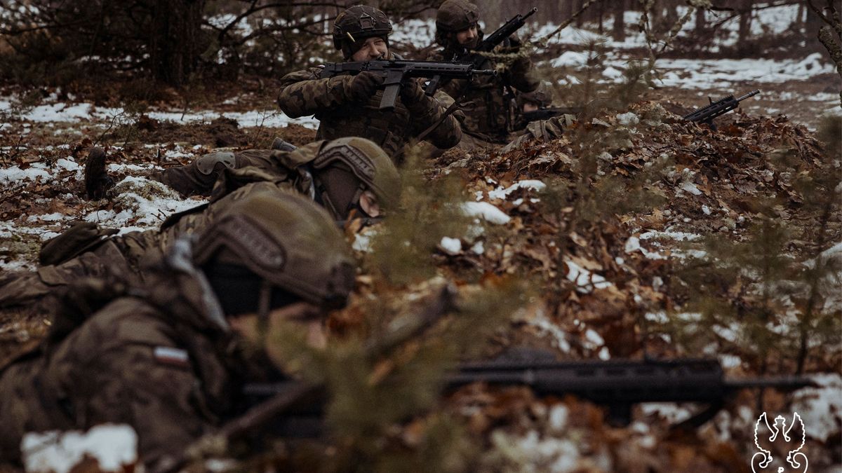 WOT szuka specjalistów