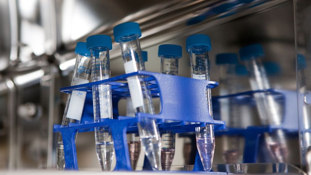Nowa ustawa o in vitro uderzy w singielki