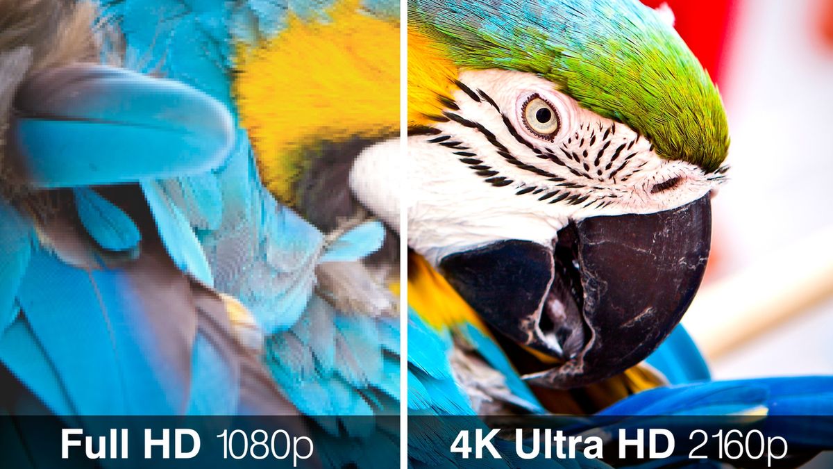 Kolejny Galaxy Note będzie mieć ekran 4K? 1