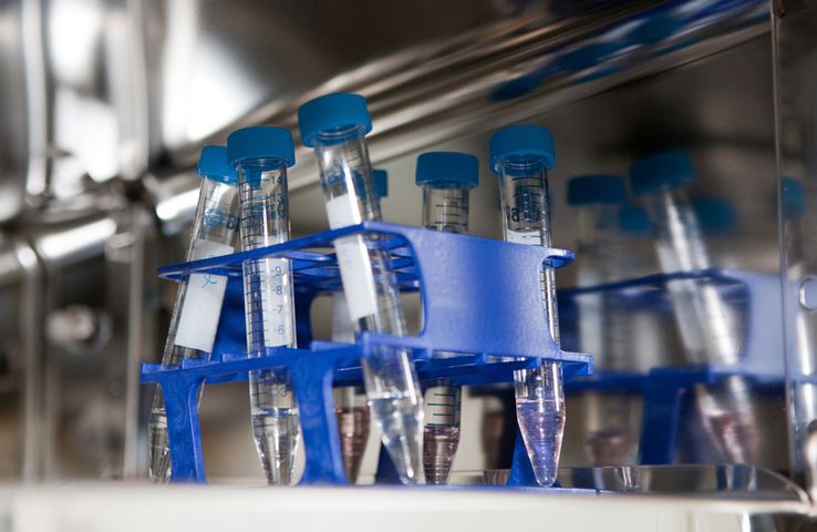 Nowa ustawa o in vitro uderzy w singielki
