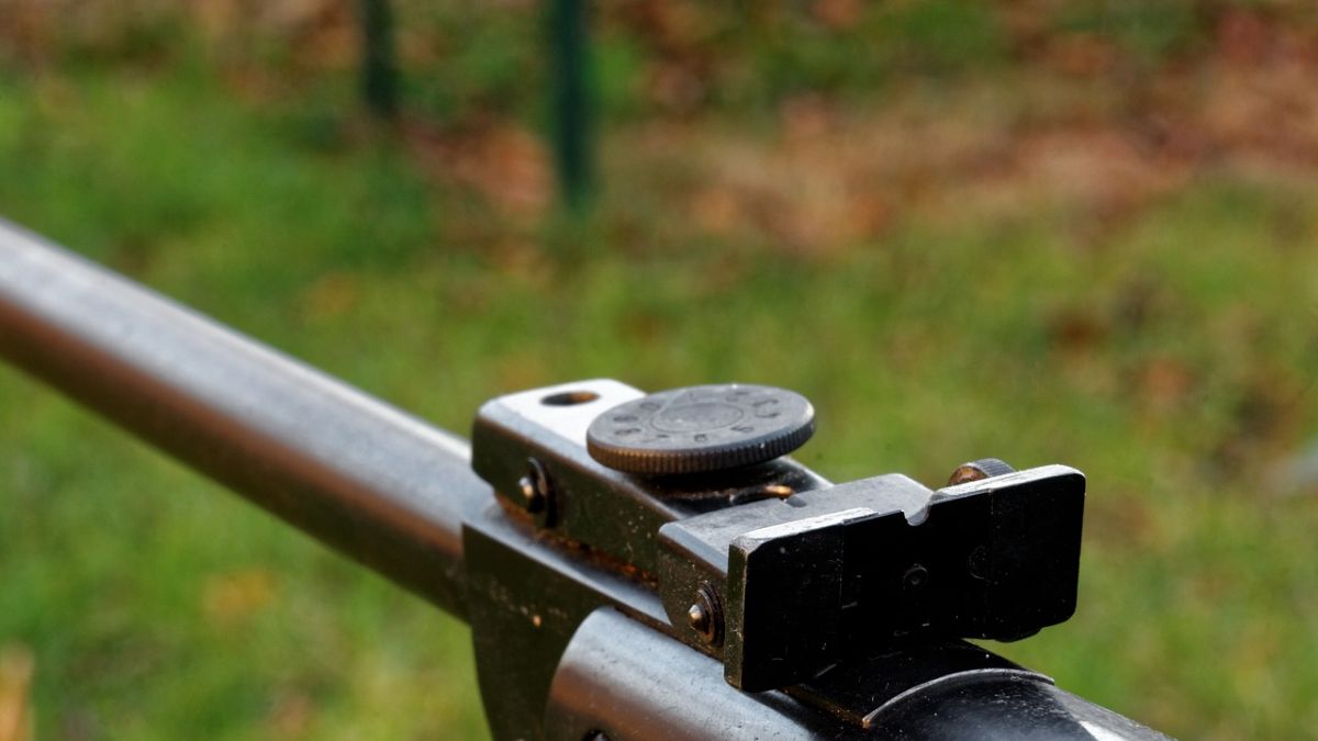 Mężczyzna tłumaczył, że koty zjadały mu gołębie