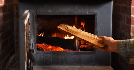 Palenie drewnem jest szkodliwe dla klimatu? Niemcy chcą wprowadzić opłatę