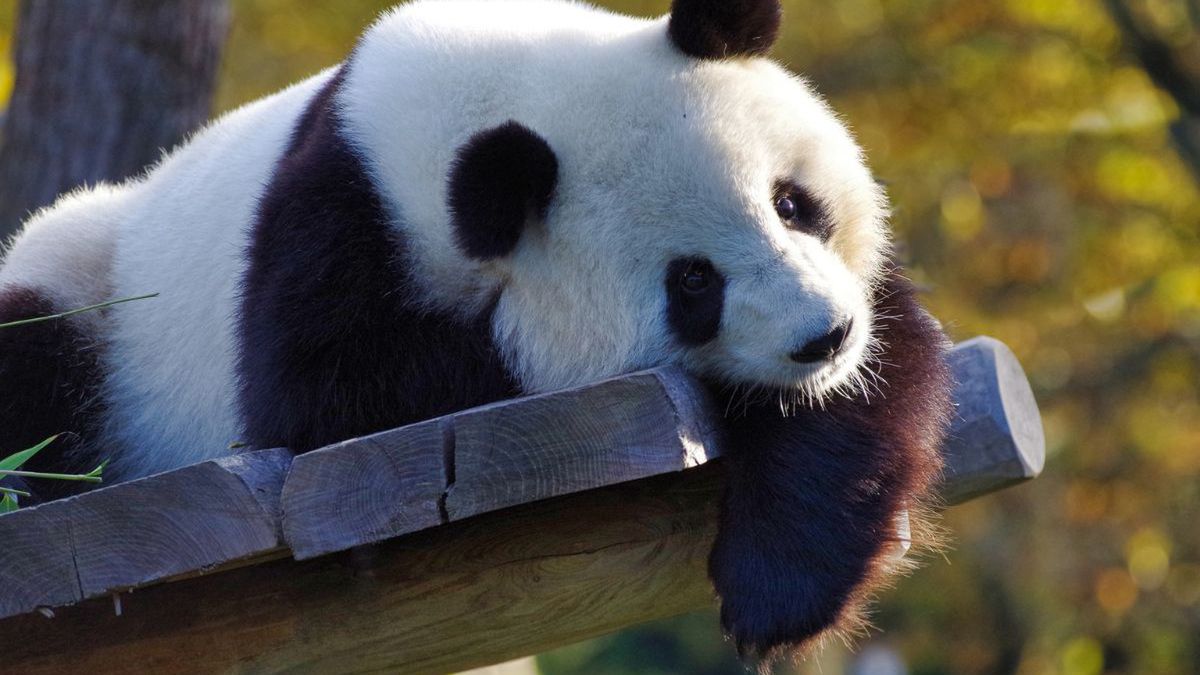 Zjęcie ilustracyjne 