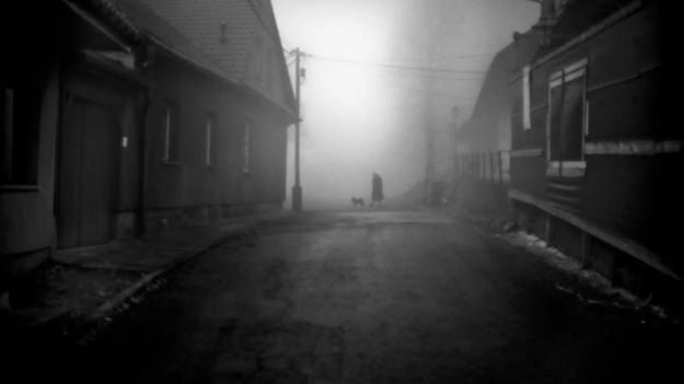 Frymografia: mgliście i przejrzyście 1