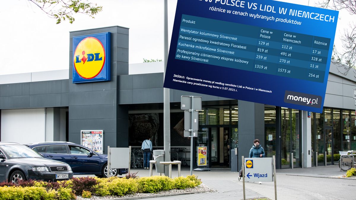 Te same produkty w różnej cenie. Tłumaczymy, dlaczego w niemieckim Lidlu bywa taniej niż w polskim 