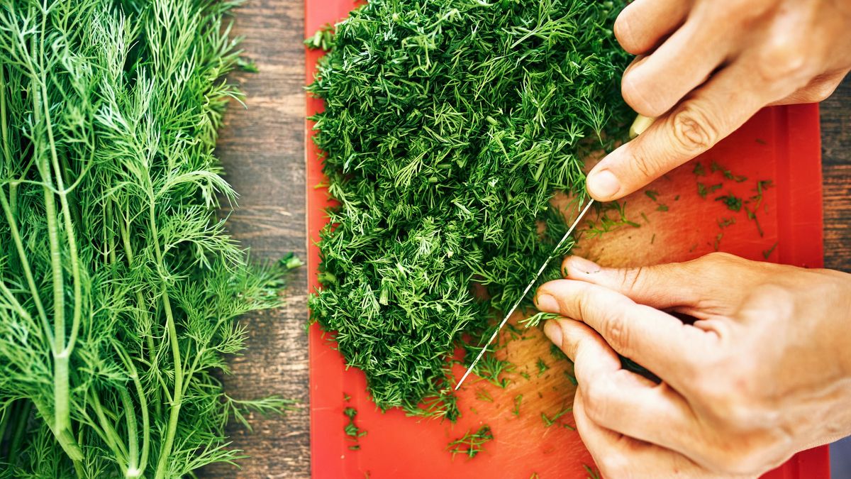 A woman cuts dill. Close-up
A woman cuts dill. Close-up of women's hands with a knife, cutting dill, healthy lifestyle. Top view, unrecognizable person
Ekaterina Goncharova