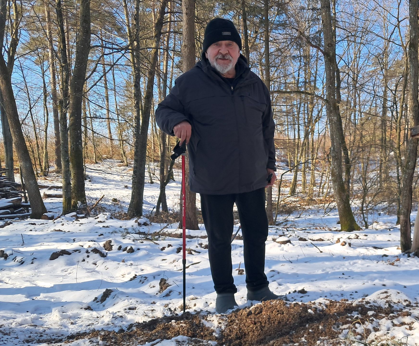 Jak mądrze dokarmiać zwierzęta? Nigdy nie dawajmy ptakom chleba