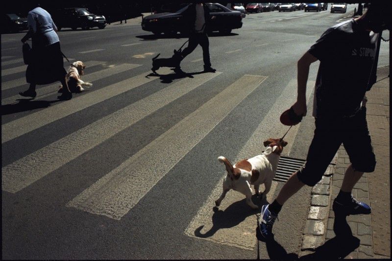 O wadach i zaletach pracy fotografa freelancera – opowiada Bartek Sadowski 10