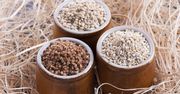 Dlaczego warto jeść kaszę gryczaną?