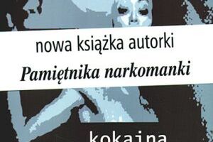 Seria niefortunnych zdarzeń 3. Ogromne okno