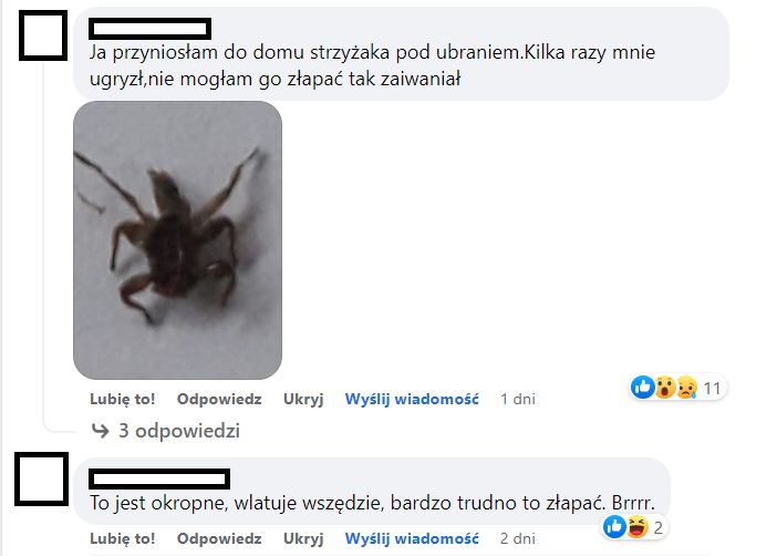 Internauci pokazują swoje zdjęcia strzyżaków