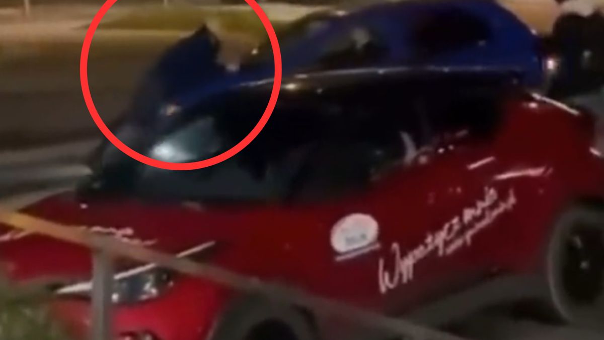 Sceny jak z filmu sensacyjnego. Poszło o mleko w proszku