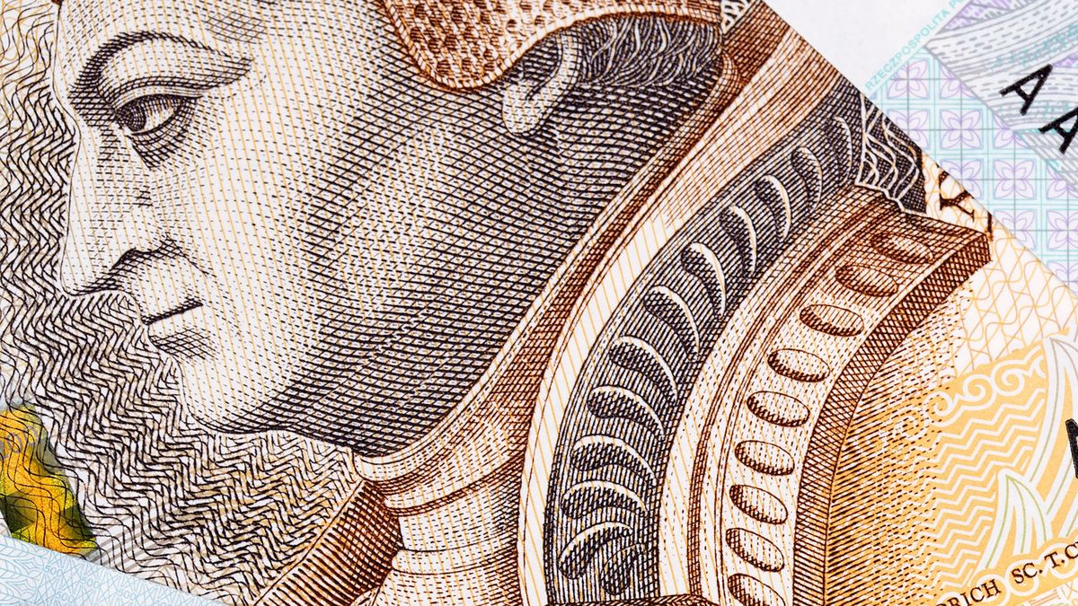 polish, insurance, documents, money, poland, zloty, zus, background, currency, cash, finance, business, bill, wealth, paper, bills, banknote, savings, financial, green, banknotes, economy