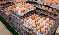 Co się dzieje z cenami jaj? Tak źle nie było już dawno