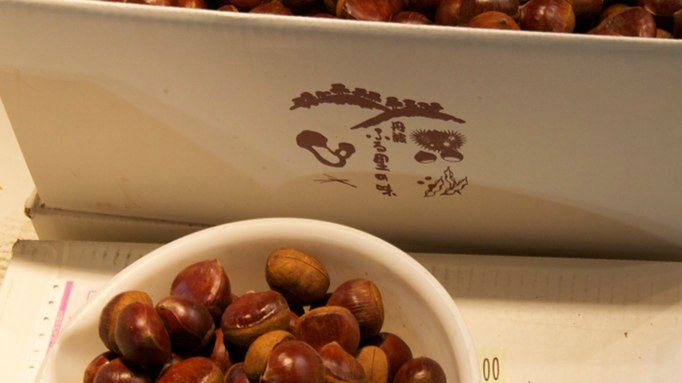 Suszone kasztany japońskie