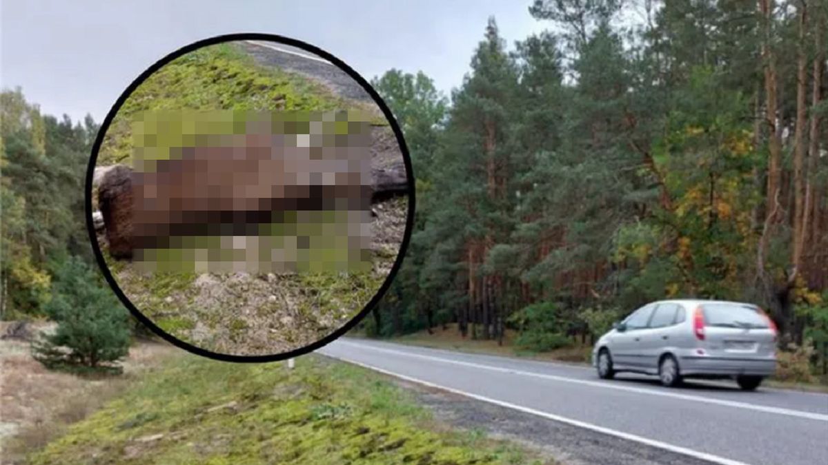 Na 2770 pojazdów, aż 2240 poruszało się szybciej, niż wynosi mak