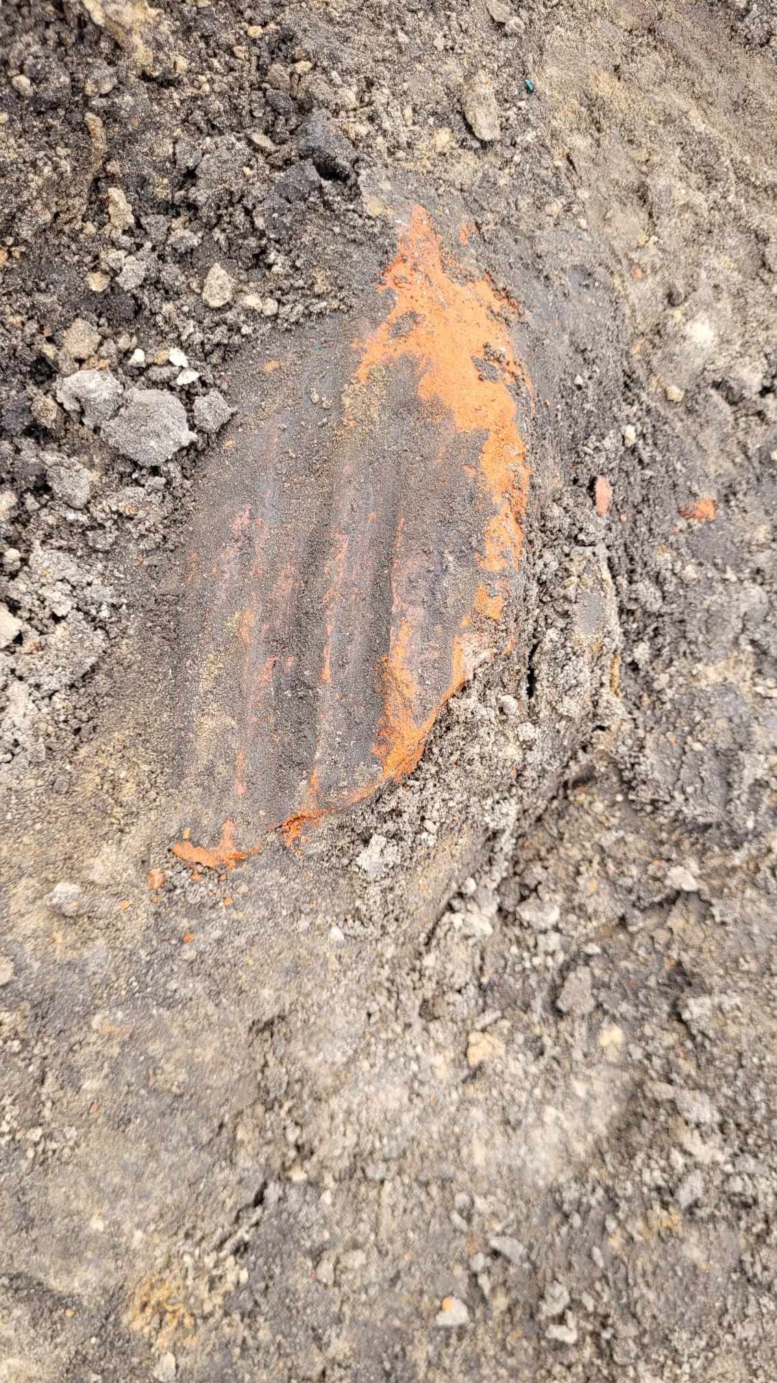 Fragment charakterystycznej dla okresu średniowiecza cegły tzw. „palcówki” odkrytej obok dobrze zachowanego bruku kamiennego