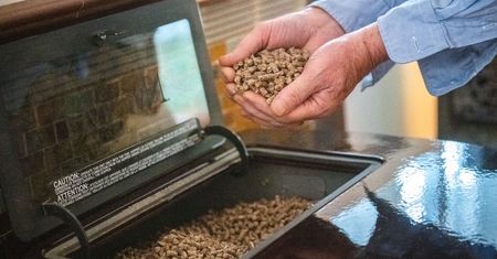 Szał na punkcie pelletu. Skok o 100 proc. Skupy już świecą pustkami