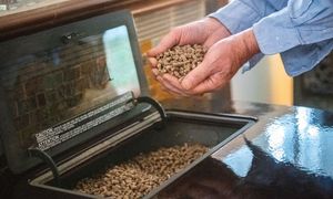 Polacy rzucili się na pellet. Niektóre skupy już świecą pustkami