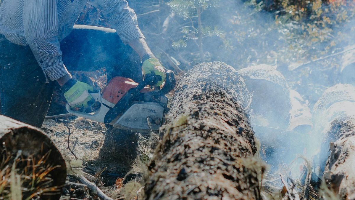 Deweloperzy w Zakopanem wycinają drzewa bez zezwolenia