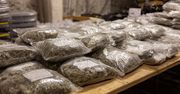Irlandia: Marihuana warta fortunę przejęta przez policję. Potężny cios w narkotykowy biznes