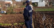 Bytom. Mężczyzna i pięć nastolatek zatrzymani na ogródkach działkowych