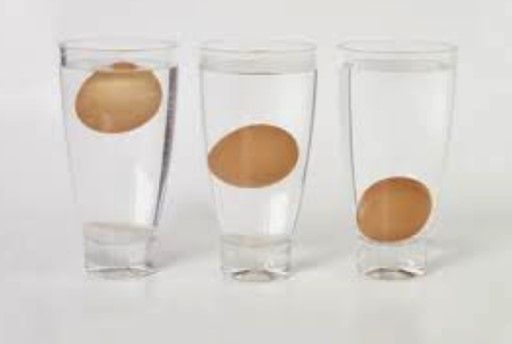 Nie jesteś pewny, czy jajko jest świeże? Umieść je w szklance wody. Jeśli opadnie na dno, jest z nim wszystko w porządku. Jeśli będzie pływać na powierzchni, musisz je wyrzucić.