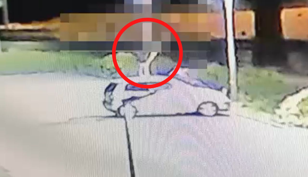 Skandal w Namysłowie. Wszystko się nagrało. I te tłumaczenia